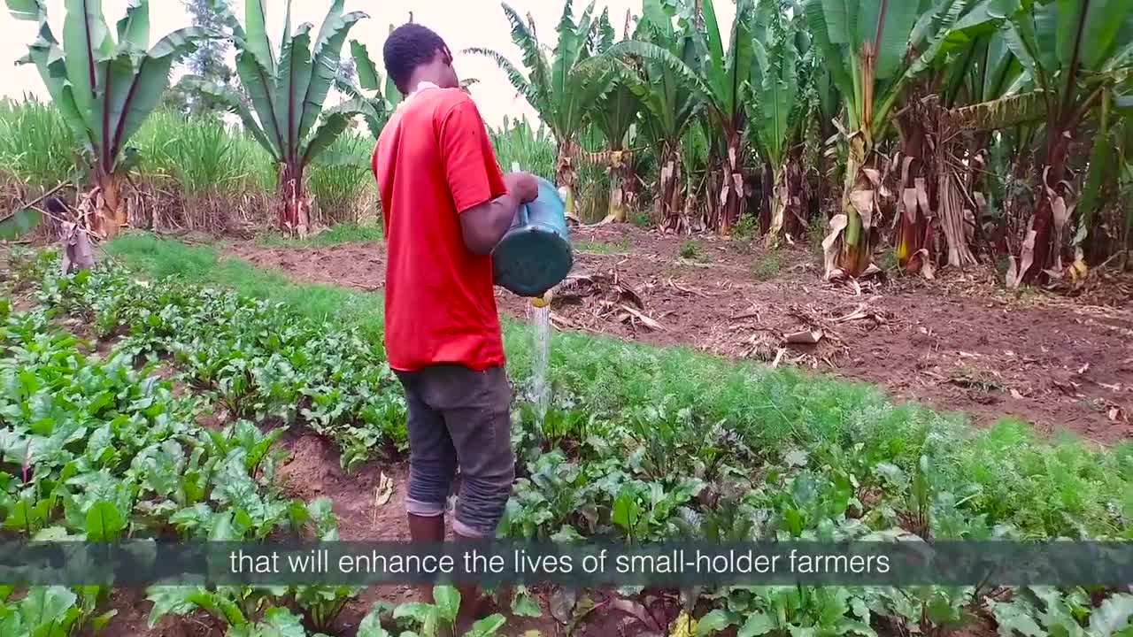 Small-Scale Irrigation Innovation Lab