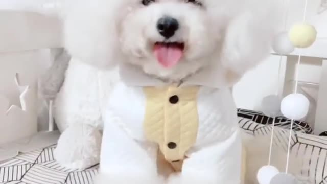 # fashion show It's cold, remember to wear autumn clothes 😂😂