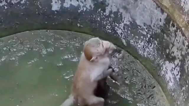the world is filled with love