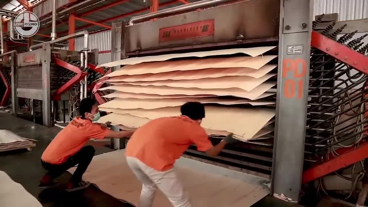 Crazy Wood Processing Machines | Biggest Wood Cutting Factory | Sawmills