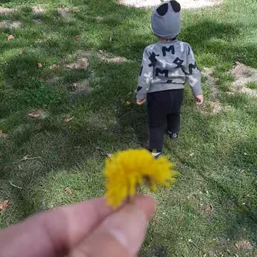 Giving a boy a flower to his father