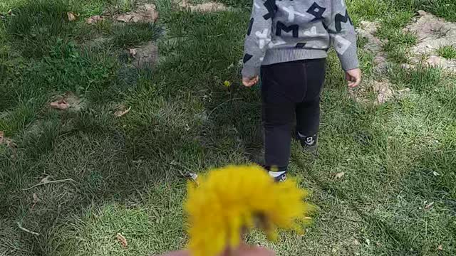 Giving a boy a flower to his father