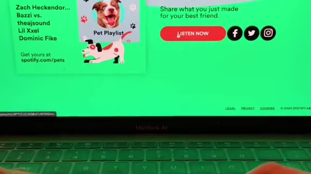 Made a playlist for my dog