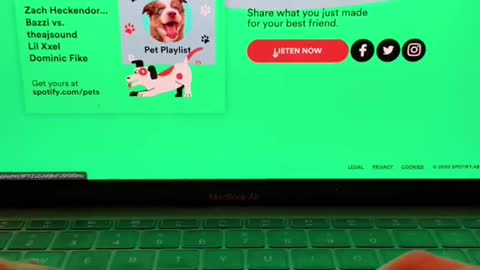 Made a playlist for my dog