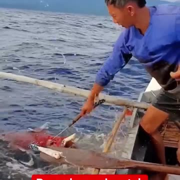 PARA_AKONG_SINUNTOK_SA_LAKAS_NG_BUGA_#subscribers_#fish_#uniquefishing_#viral_#spearfishing(720p)