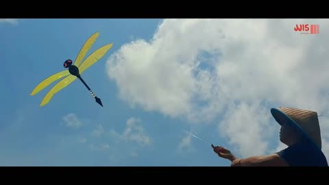 how To make Kite Dragonfly | DIY ; Tutorials