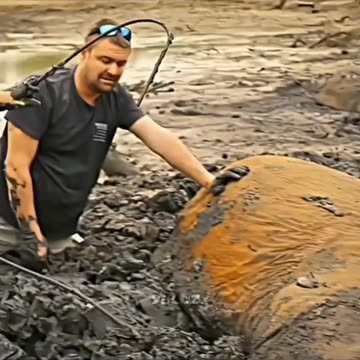 saving an elephant ❤️