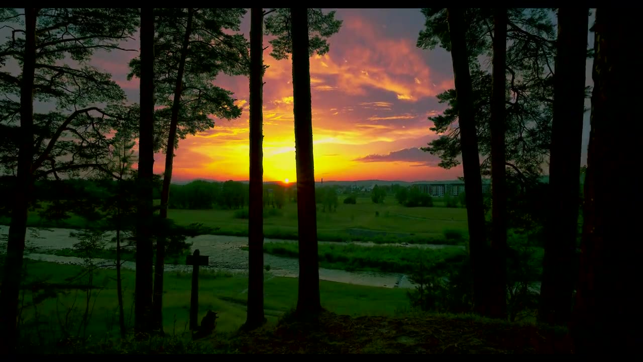 Golden July sunset in Noway Targ