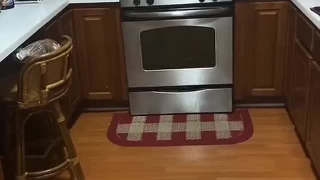 **Not a good thumbnail but worth watching** - Hilarious black guy on TikTok