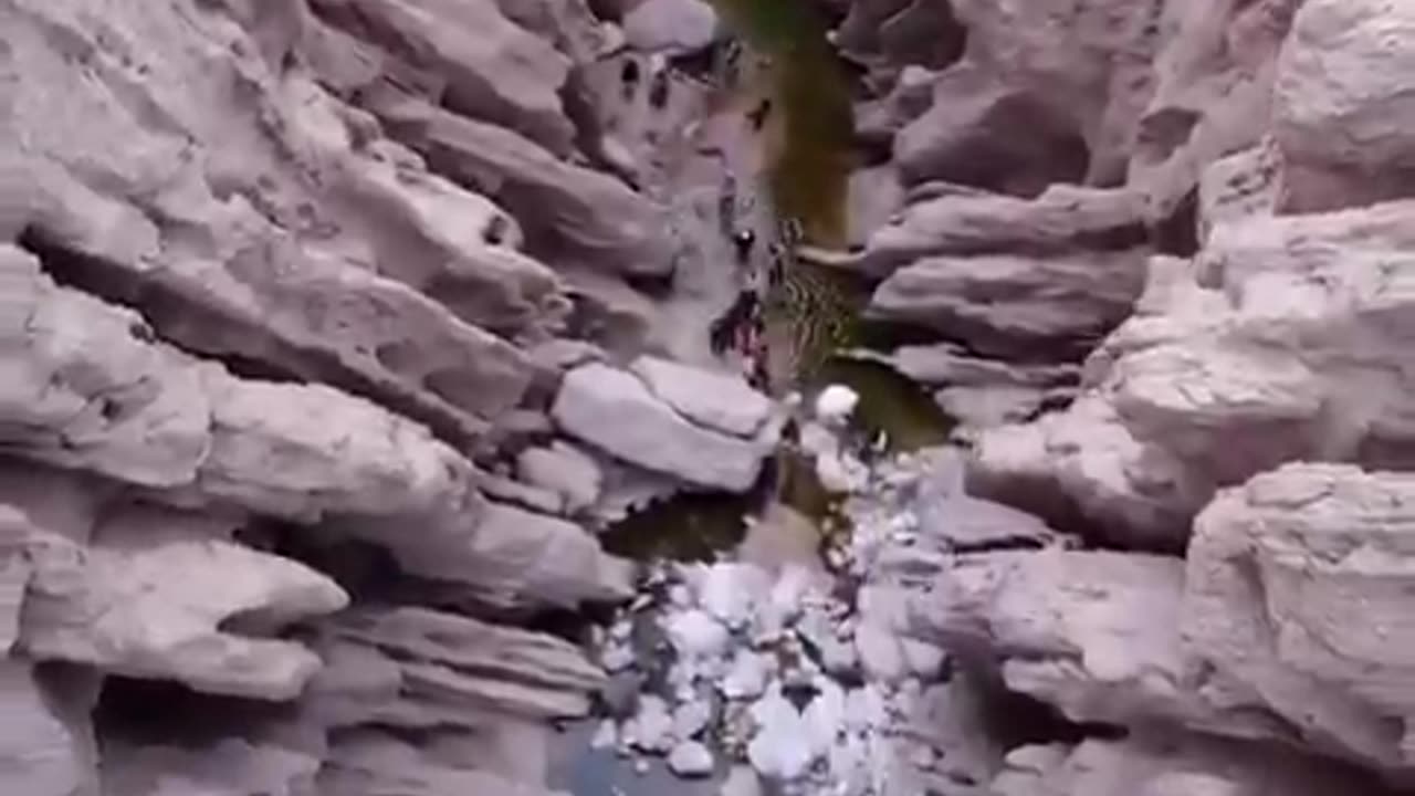 تاریخی
