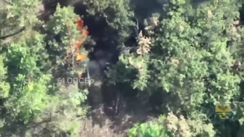 Footage of Artillery Strikes