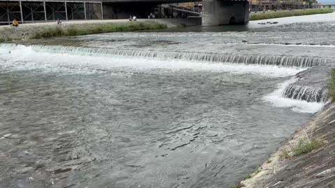 Kyoto rivers canals waterways and seafood