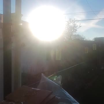 The sun