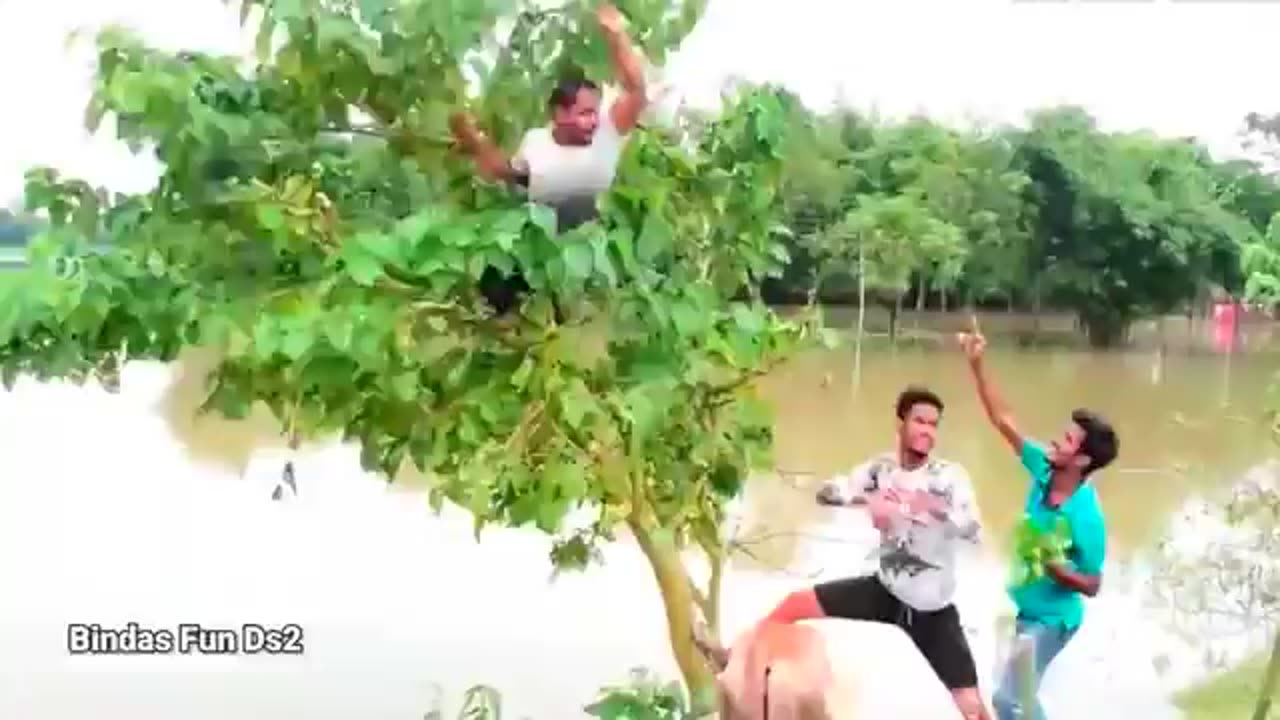Amazing Funny Video 😂😂