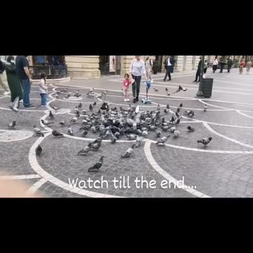 Nizami street| Baku The capital |Azerbaijan#