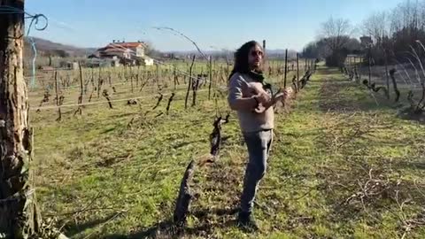 Il ragazzo della via Gluk sulle vie dei vini del Collio