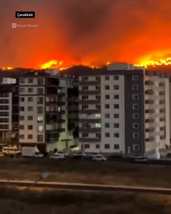 Oh gee! Turkey is burning now!