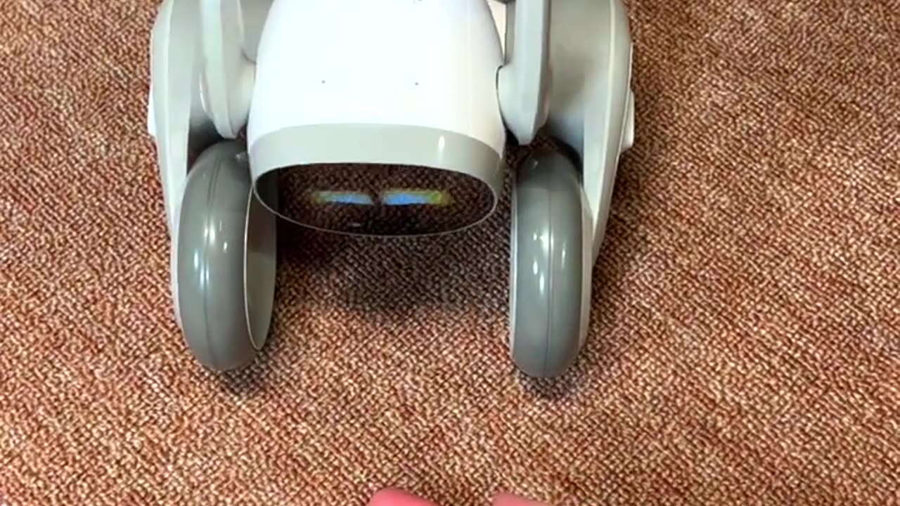 Pet Dog in New Avtar🤩 AI Robot Pet