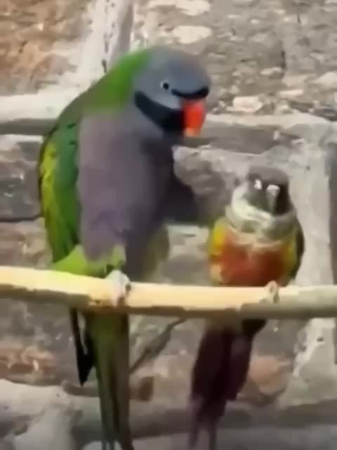 Can you protect me please? 😂