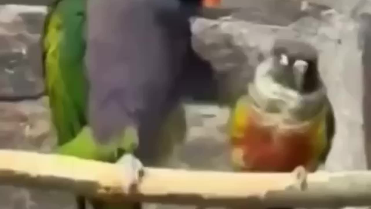 Can you protect me please? 😂