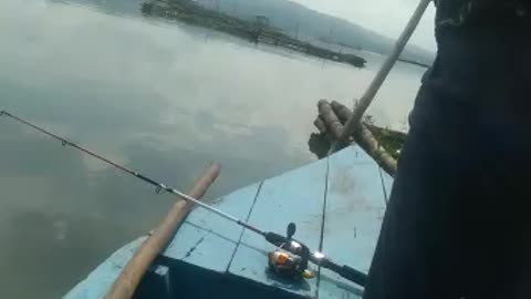 Mancing ikan nila liar Rawa Pening