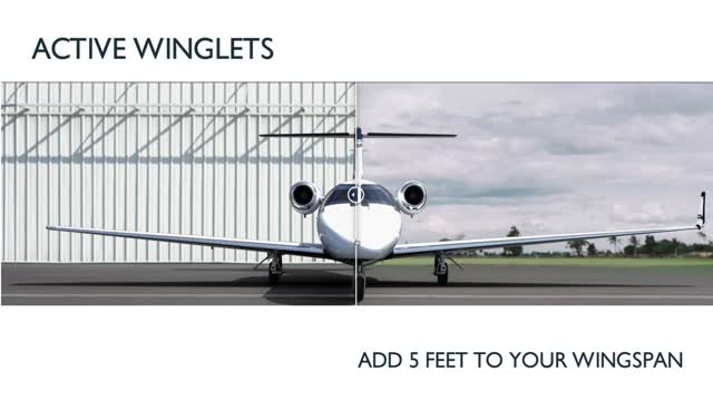 Tamarack Active Winglets Add 5 Feet to Your Wingspan
