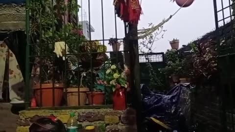 Beautiful Rain