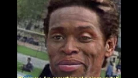 Random Memes 248
