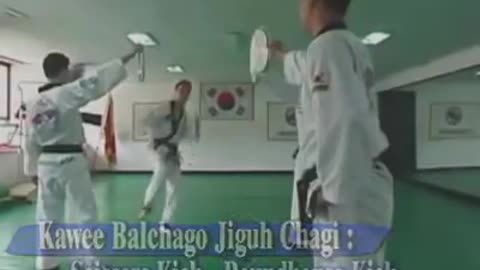 Hapkido