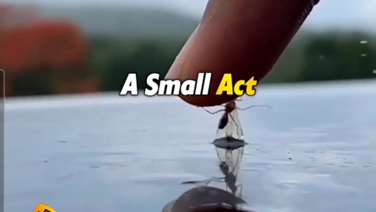 WE MUST ALWAYS HELP EACH OTHER