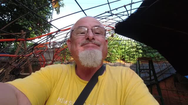 "THEY" ARE TRAPPING US part 3