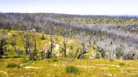 Relaxing Music | Sleeping, Meditation, Stress Relief | [1441] ⭐️