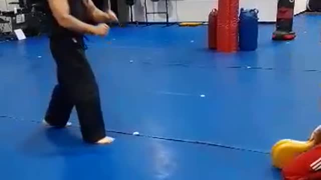Low Spinning Sweep Kick