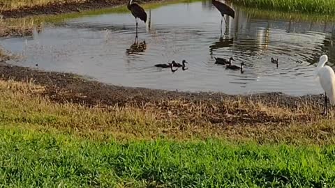 The nature zone: Everone is just chiling.
