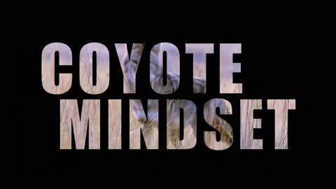 What does "Coyote Mindset" mean?