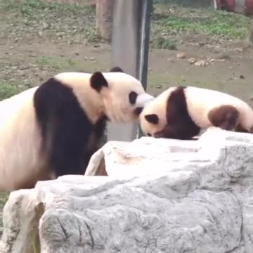 Listen to Mama or you getting a spanking 🤣