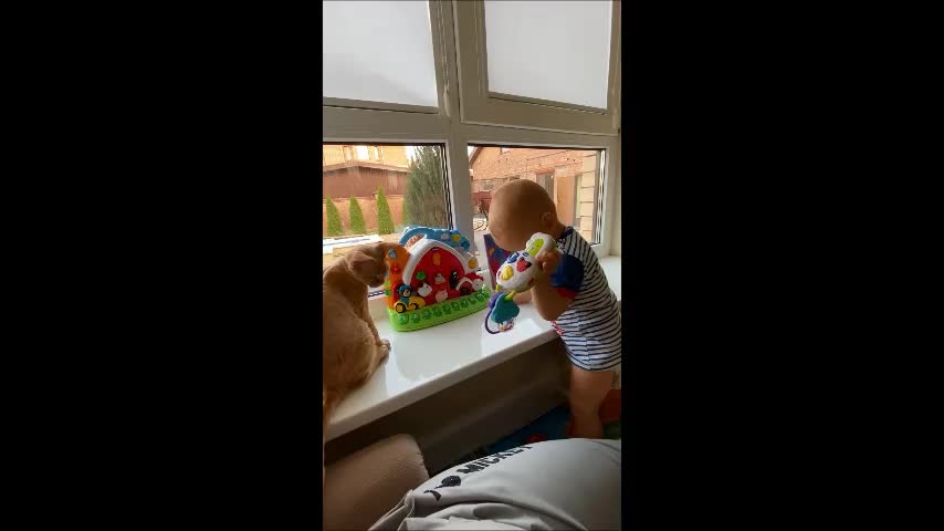 Cute cat and baby, playing, very close, funny😂😂 || Try not to laugh ||