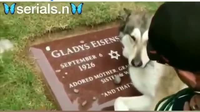 mourn the death of the owner