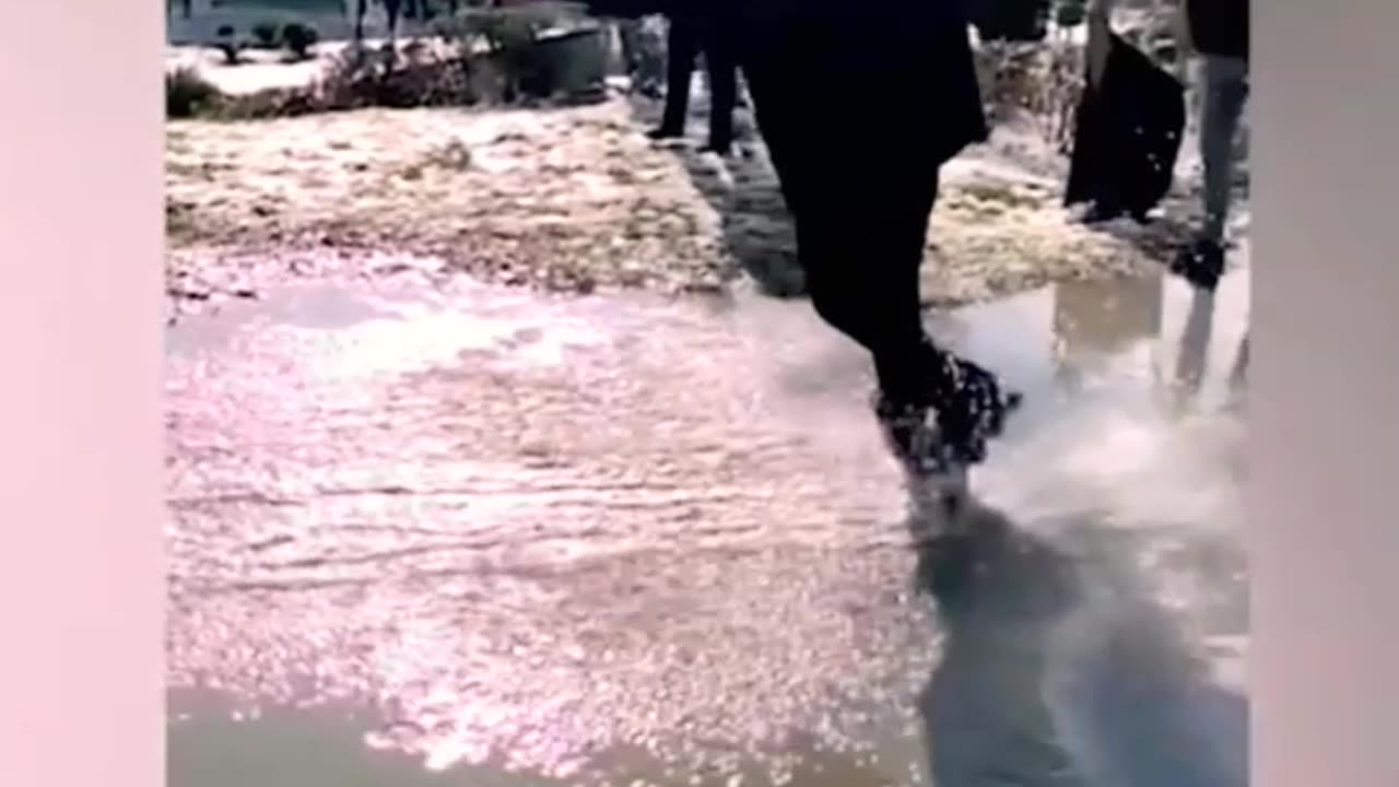 🔥Shorts Amazing Video🔥 Clip || 💯 Shorts Videos 💯 || Video Shorts ❤