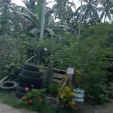 The Beautiful Philippines