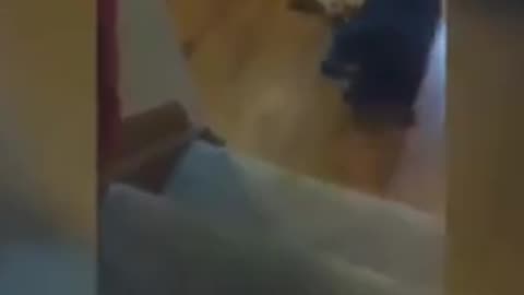 videoplayback
