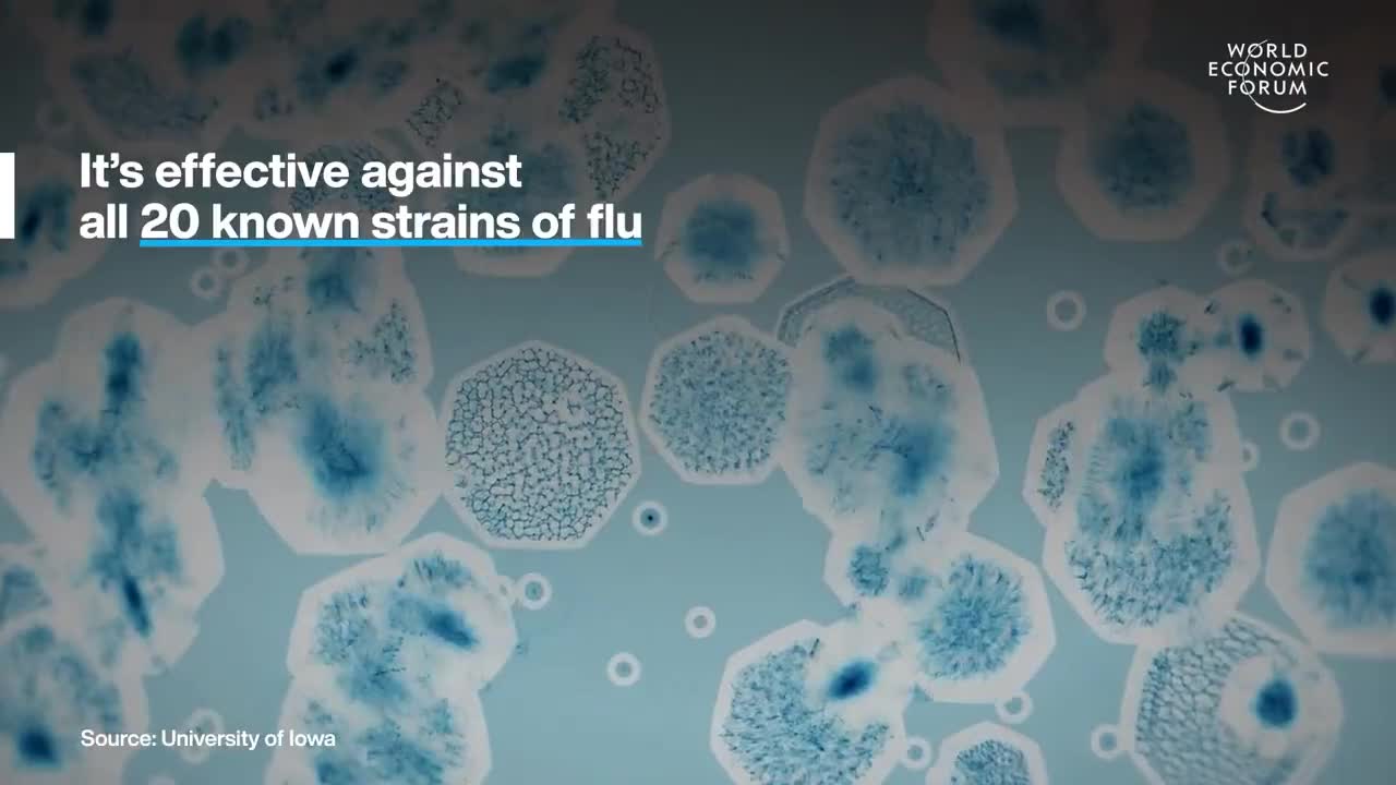 WEF - Universal mRNA flu vaccine