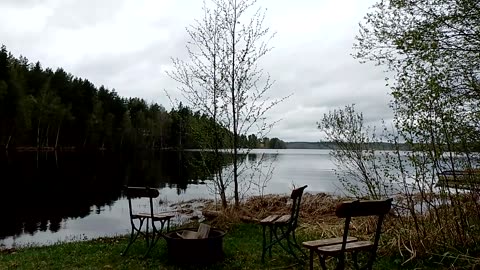 Rinkan sisältö