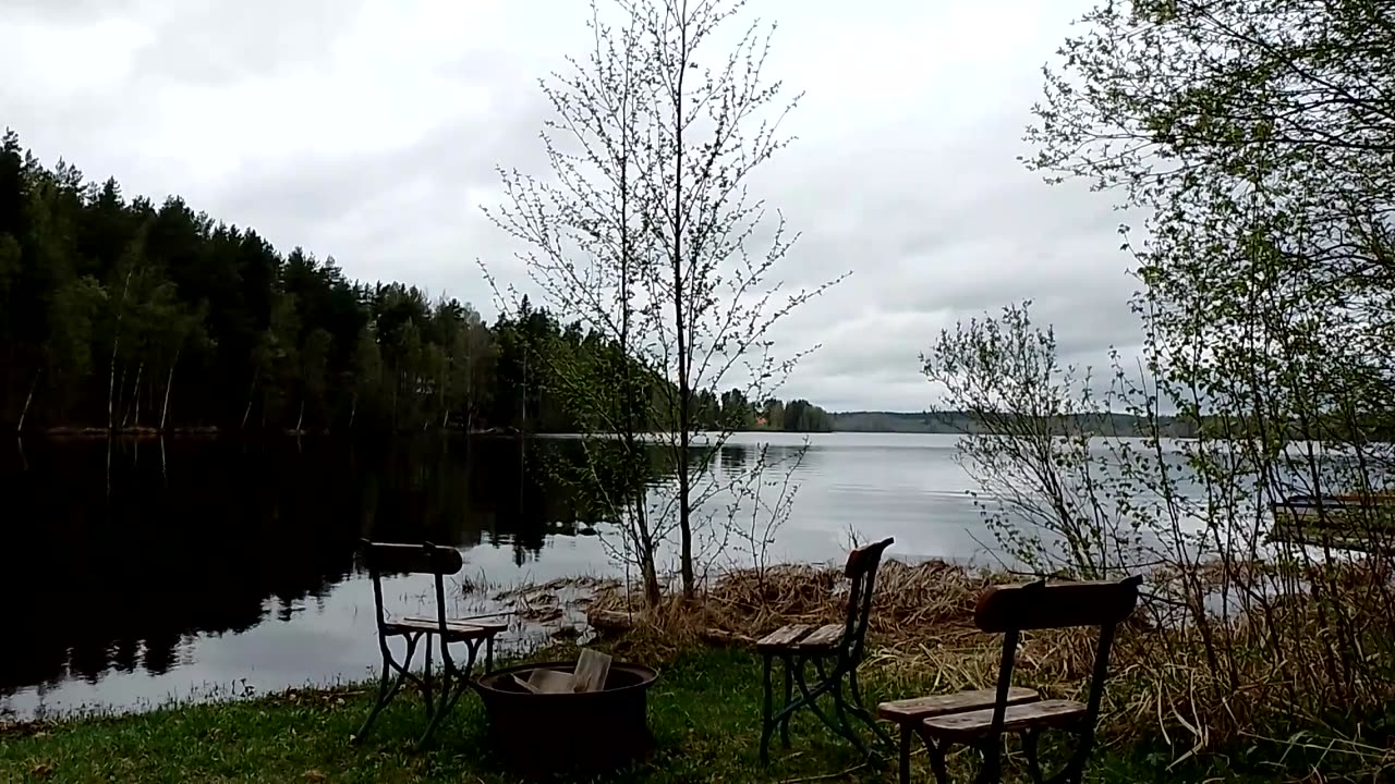 Rinkan sisältö