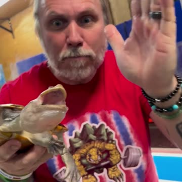 What a strange turtle 😳 should we get some for the expansion 🤔 #animals