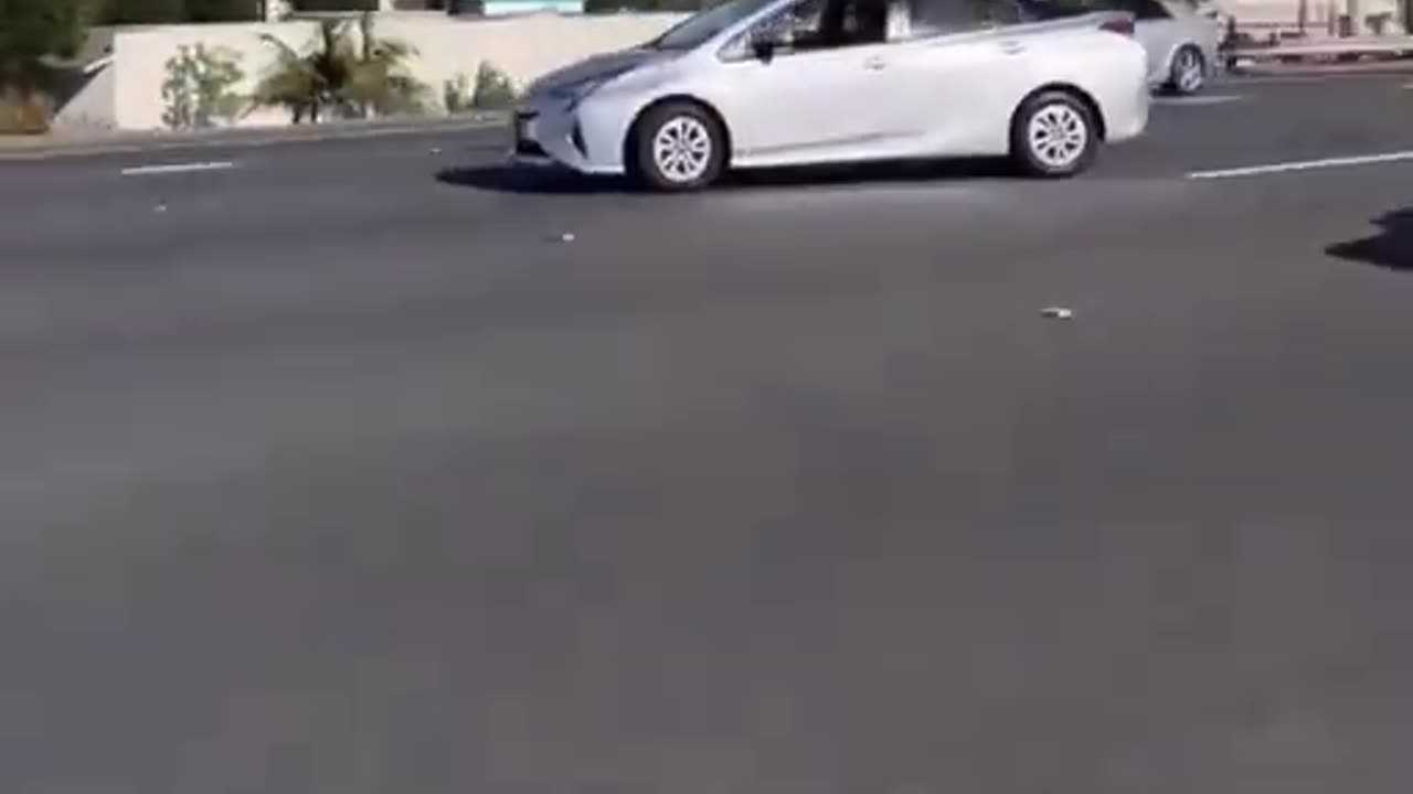 TikTok Girl Stops Car In Traffic To Make Video