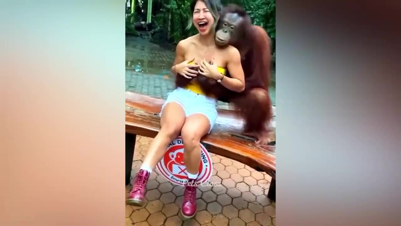 funny video viral 2023 Rumble