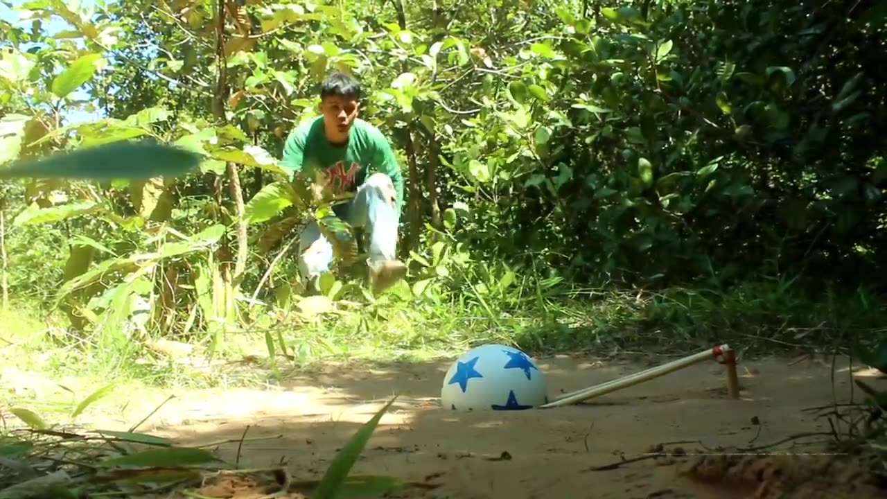 New Creative Unique Bird Trap Using Small Plastic Ball - Rolling Parrot Trap in Hole