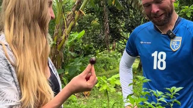 🇩🇲 Chocolate Scorpion Pepper 🌶🥵