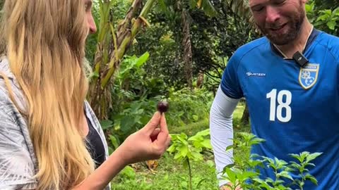 🇩🇲 Chocolate Scorpion Pepper 🌶🥵